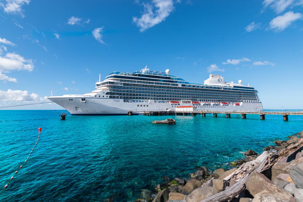 Passengers are strangely hiding this child's bath toy on cruise ships - with at least one tight line: 'Please don't'